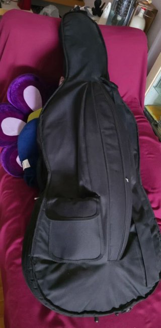 Violonchelo con arco, funda y soporte