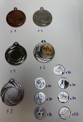 Lote de 288 Medallas para Campeonatos