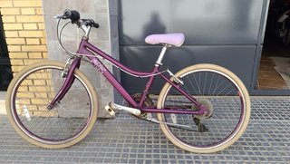 Bicicleta Raleigh Morada