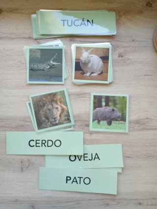 Material lectoescritura Educación Infantil
