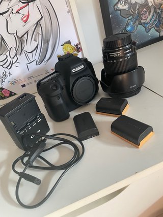 Canon 6D Mark II + Objetivo 24-105 mm