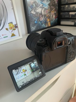 Canon 6D Mark II + Objetivo 24-105 mm