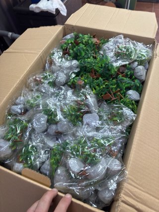 Set de Palmeras y Rocas para Dioramas