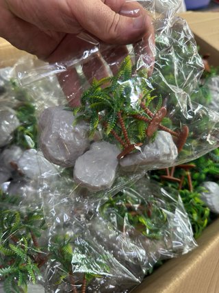 Set de Palmeras y Rocas para Dioramas