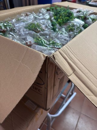 Set de Palmeras y Rocas para Dioramas