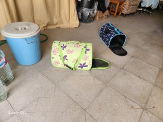 Transportín para Gatos Plegable