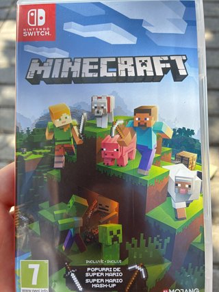 Minecraft Nintendo Switch