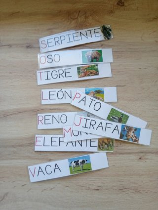 Material lectoescritura Educación Infantil