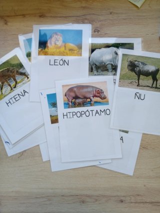 Material lectoescritura Educación Infantil
