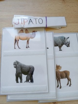 Material lectoescritura Educación Infantil