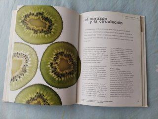El Poder curativo de los alimentos