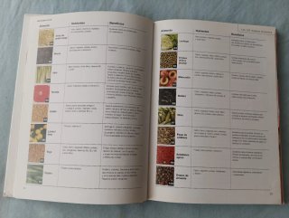 El Poder curativo de los alimentos