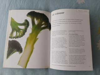 El Poder curativo de los alimentos