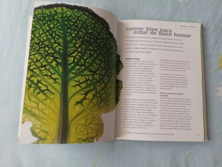 El Poder curativo de los alimentos