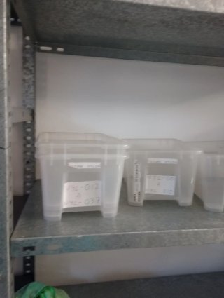 5 Cajas Ikea Samla