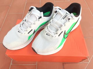 Zapatillas Nike Running Blancas y Verdes