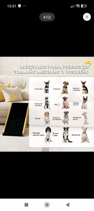 Rampa para Mascotas Pequeñas y Medianas