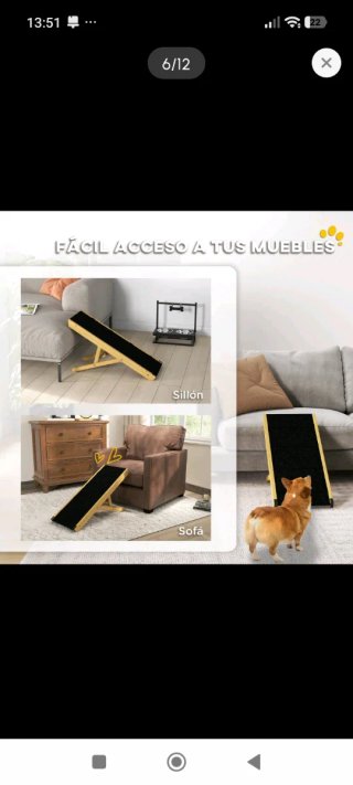 Rampa para Mascotas Pequeñas y Medianas