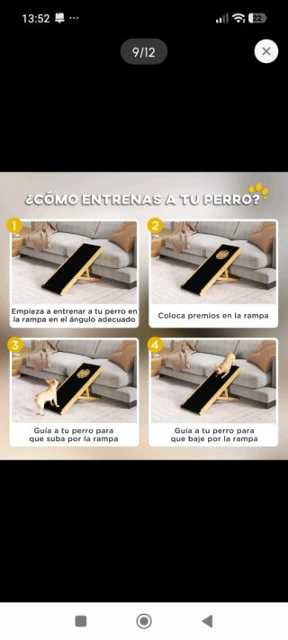 Rampa para Mascotas Pequeñas y Medianas