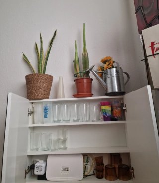 Armario con espejo madera y cristal