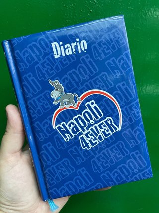 Diario Napoli 4EVER con disegno