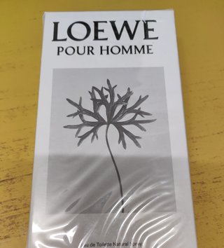 Loewe Pour Homme EDT 100 ml