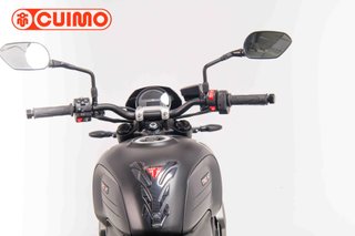 TRIUMPH TRIDENT 660