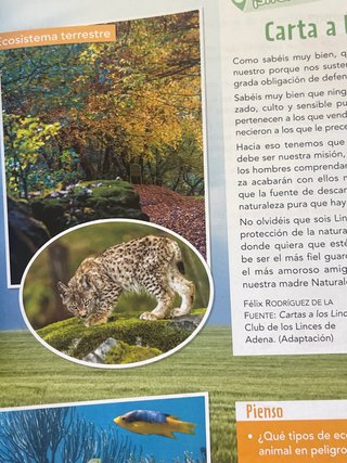 CIENCIAS DE LA NATURALEZA 5 (COMUNIDAD ZOOM)