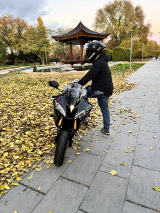 Yamaha R6 Sportbike Negra y Dorada