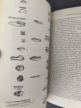 EL POBLAMIENTO PALEOLÍTICO DE EUROPA CLIVE GAMBLE