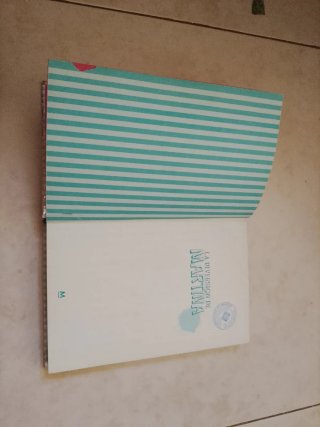 Libro de la diversión de martina influenser