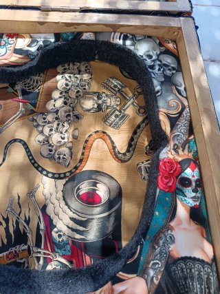 Estuche de guitarra con calaveras