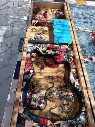 Estuche de guitarra con calaveras