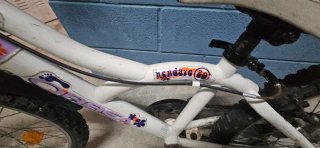 Bicicleta Niña Orbea Hendaya Rodado 20