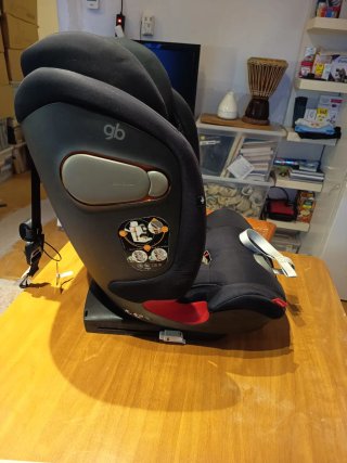 Sillita de coche GB Everna-Fix