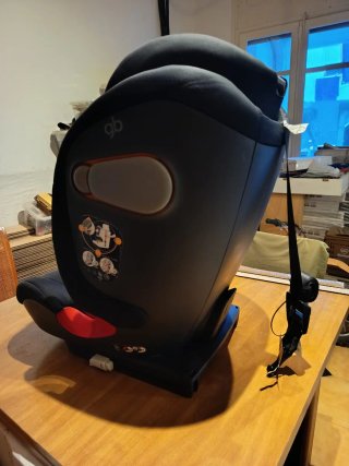 Sillita de coche GB Everna-Fix