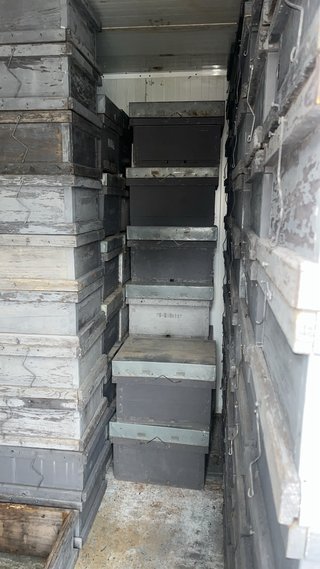 Material apicola