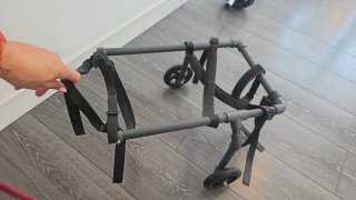 Silla de ruedas para perro Bulldog Francés