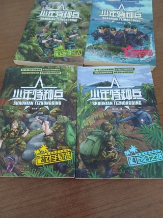 Lote de 4 libros de literatura militar china