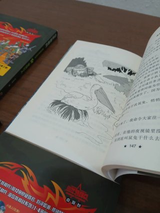 Lote de 4 libros de literatura militar china