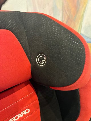 Silla coche Recaro Monza Nova 1