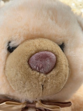 Oso de Peluche Beige con Lazo
