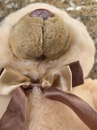 Oso de Peluche Beige con Lazo