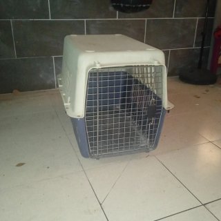 Transportín para Perro Grande