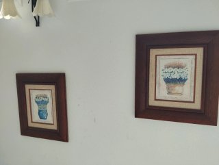 2 Cuadros Decorativos Flores