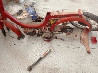 Restos de Vespino