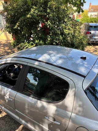 Peugeot 207 2006