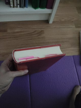Sù wèn (preguntas sencillas) : canon de medicin...