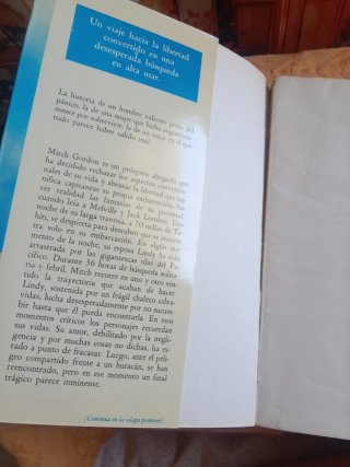 La búsqueda ( overboard)
