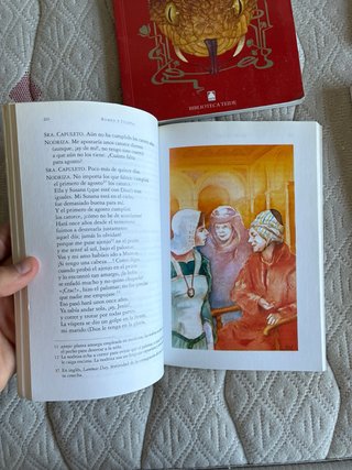 Lote libros Clásicos y Teatro ESO